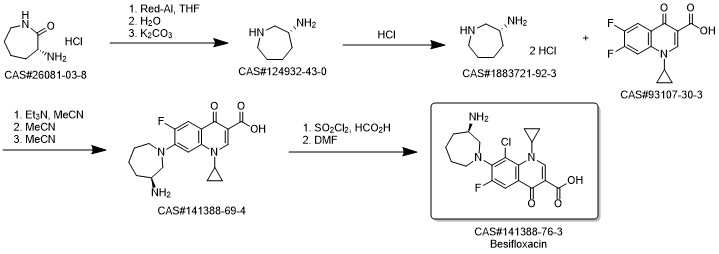 Besifloxacin route01